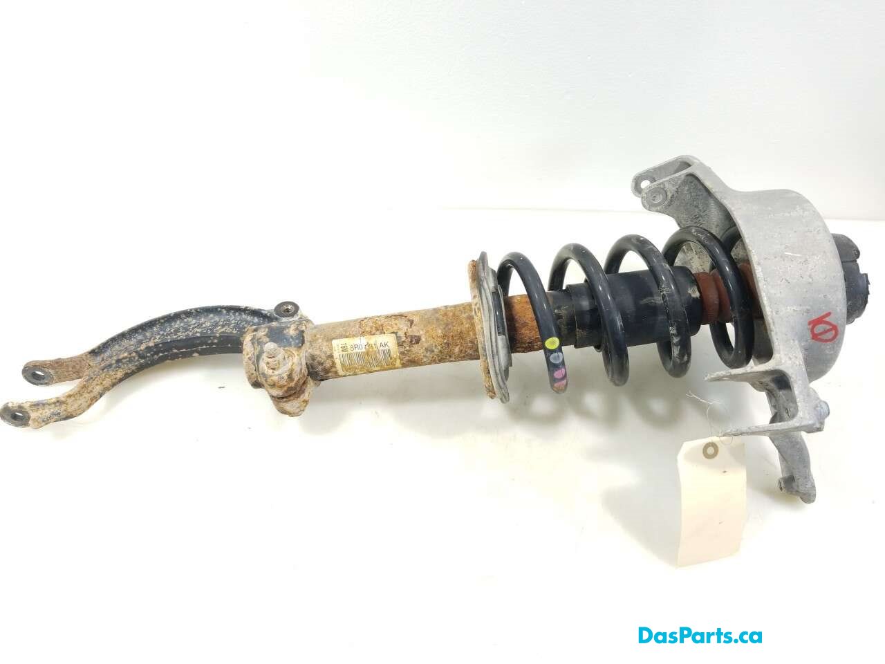 Strut Assembly LF