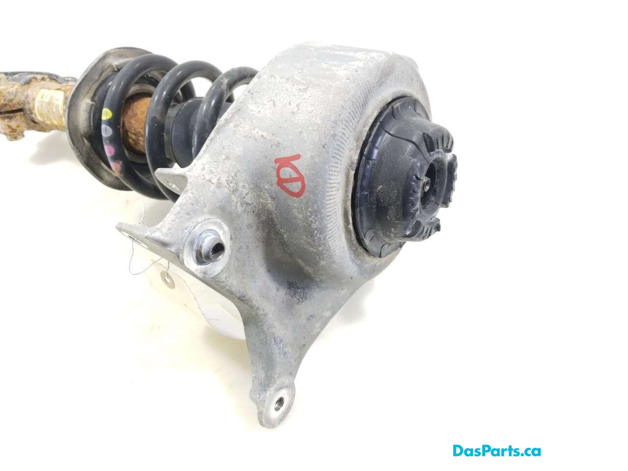 Strut Assembly LF