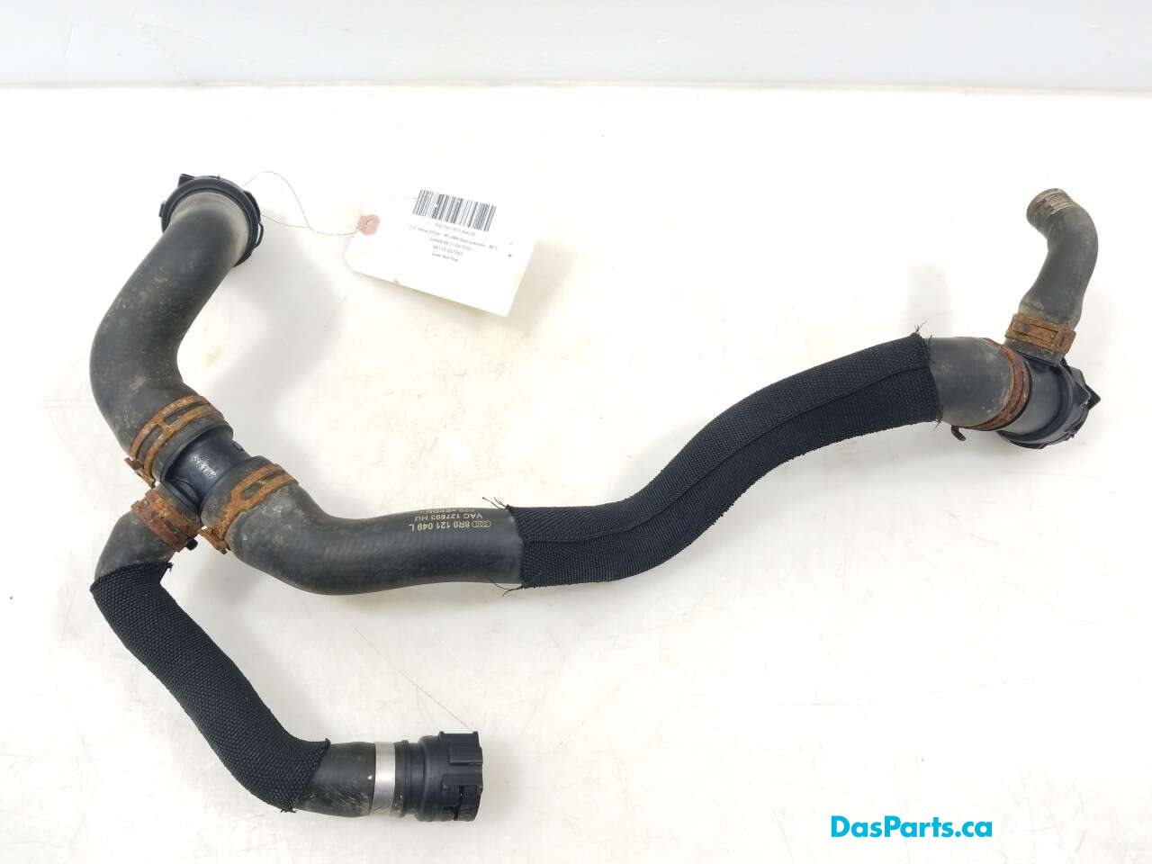 Lower Rad Hose