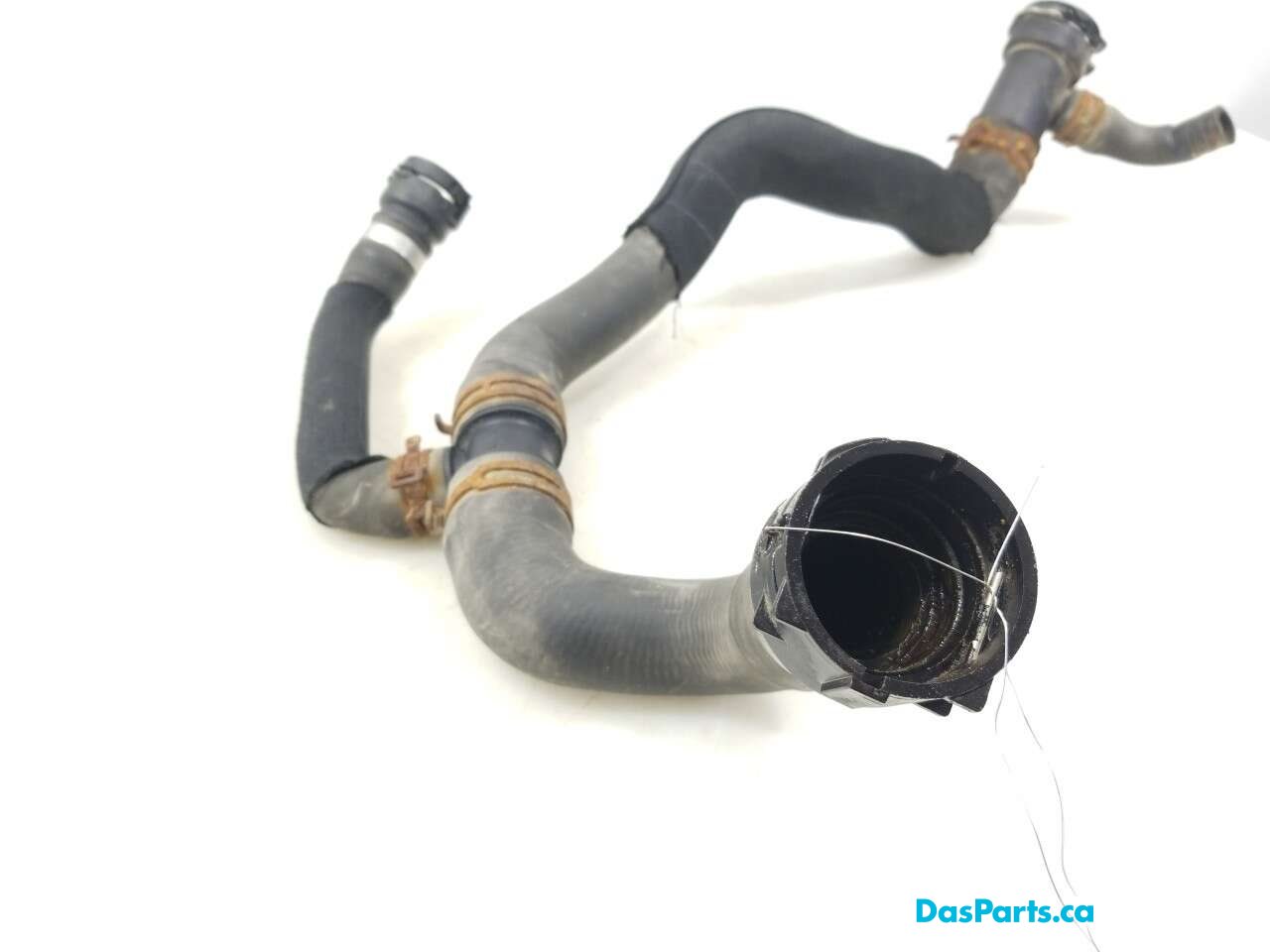 Lower Rad Hose