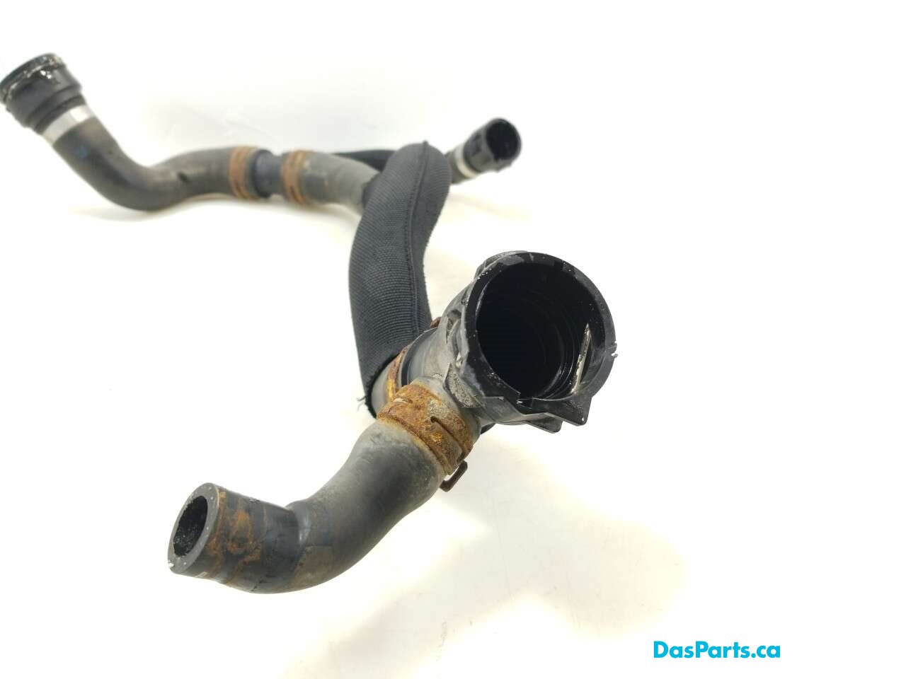 Lower Rad Hose