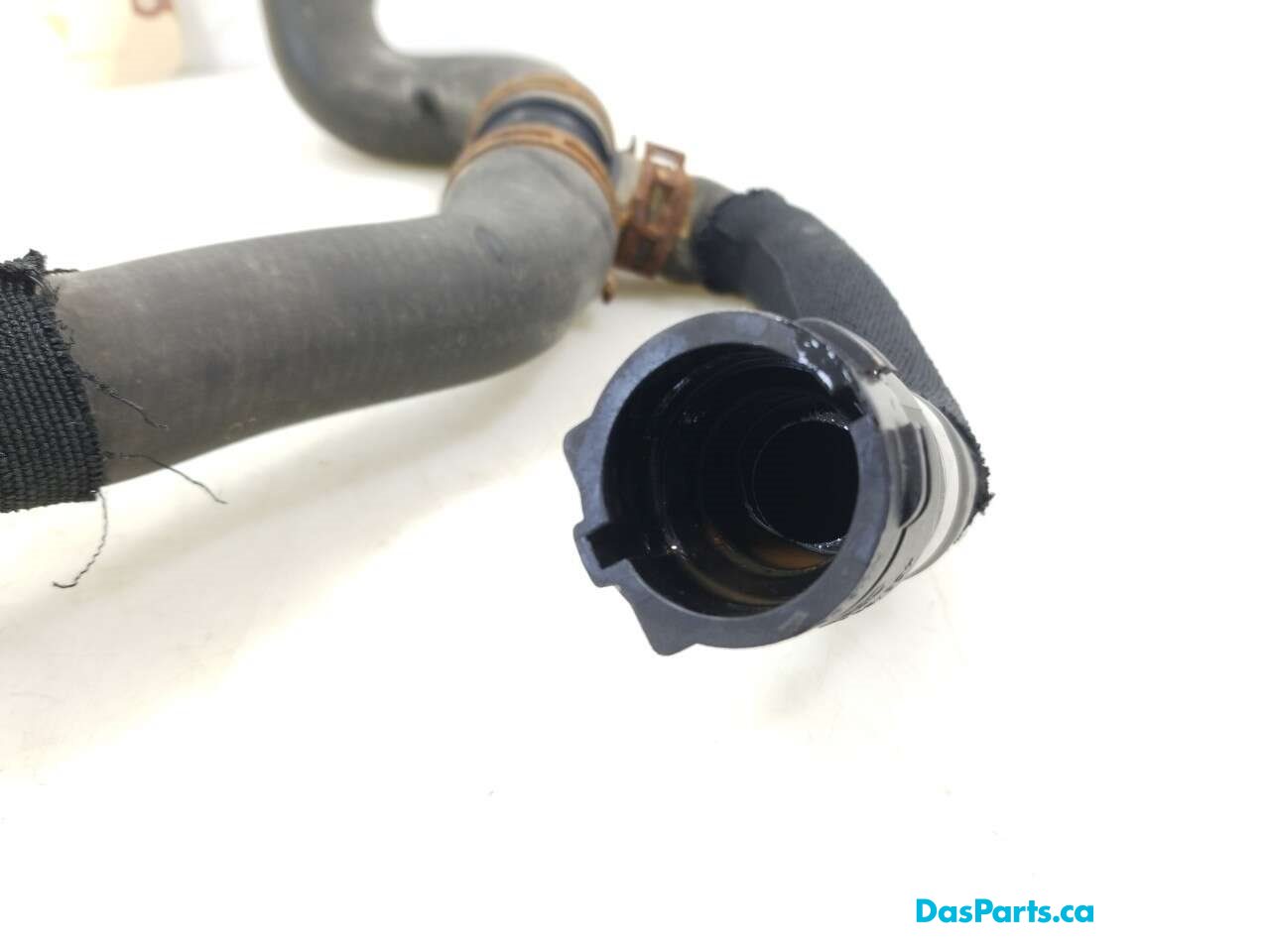 Lower Rad Hose