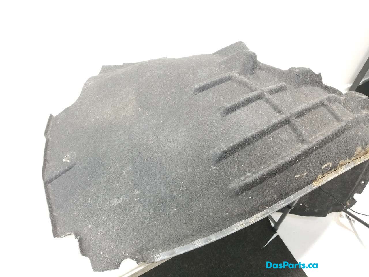 Fender Liner RF