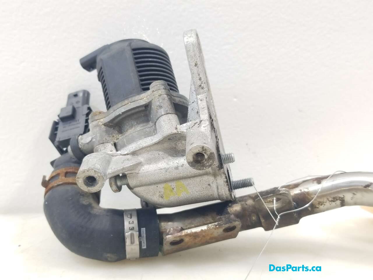 EGR Valve