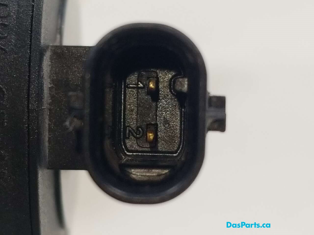 EGR Valve