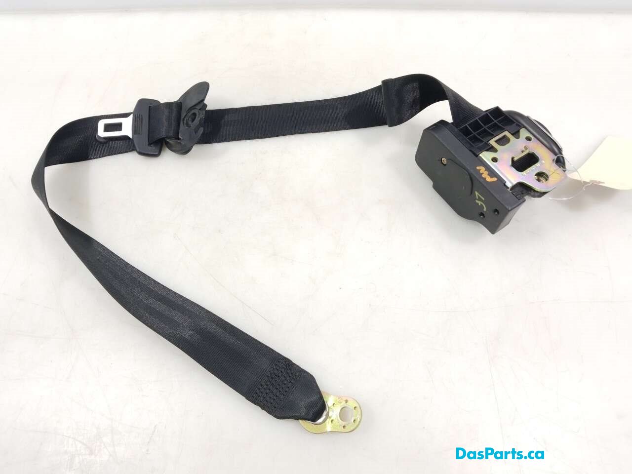 Seat Belt LF
