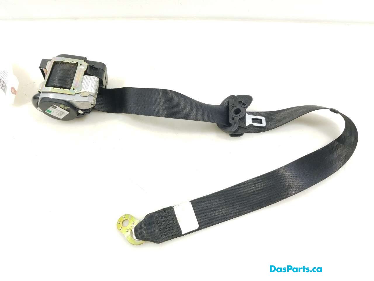 Seat Belt RF