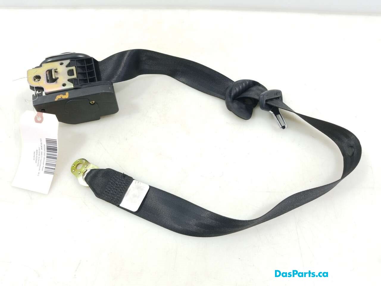 Seat Belt RF