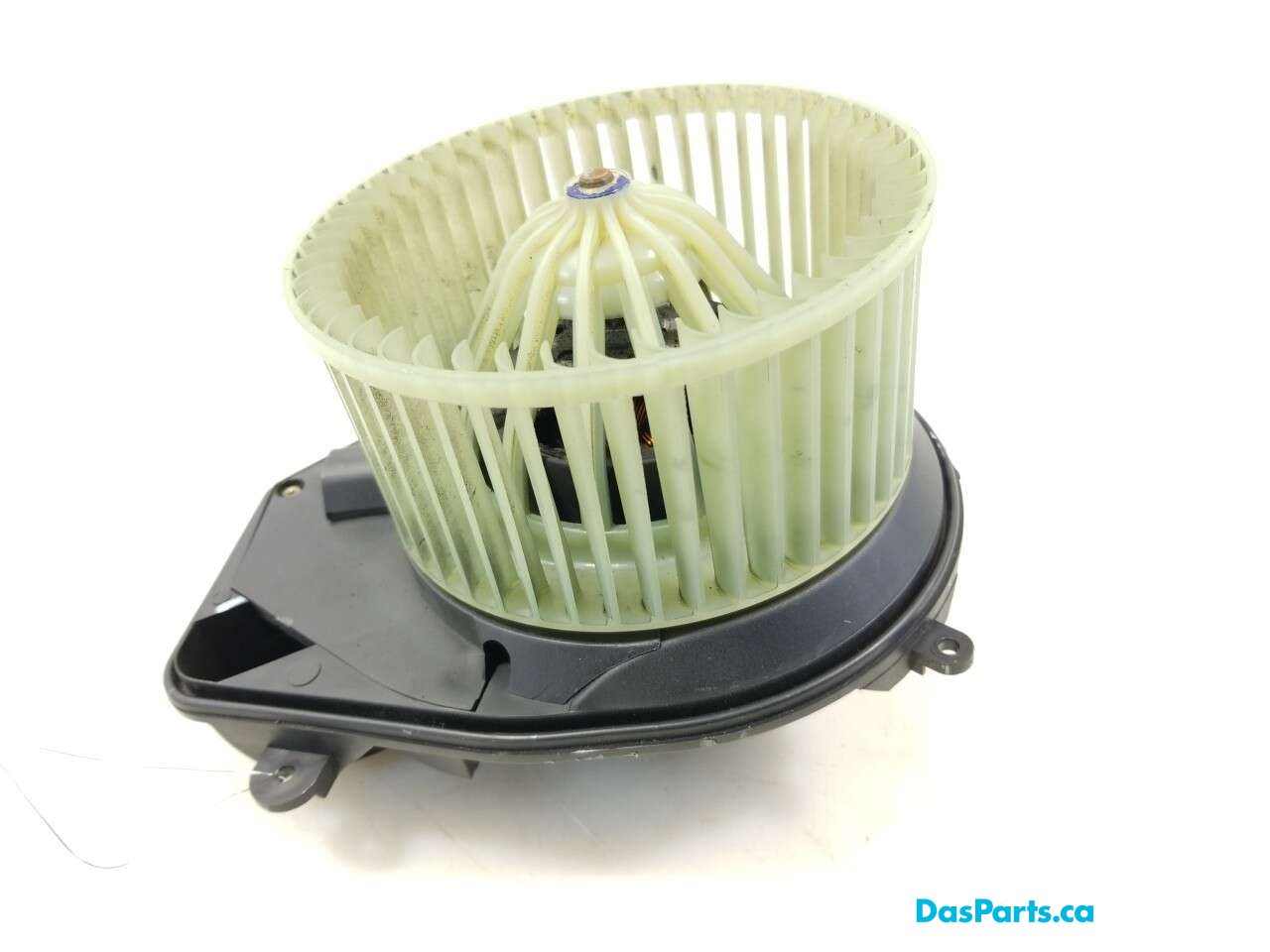 Blower Motor