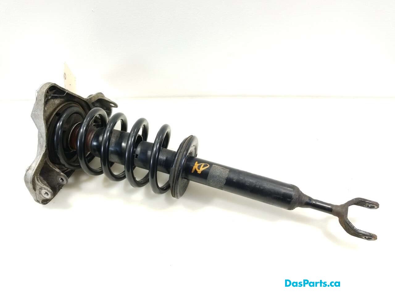 Strut Assembly RF