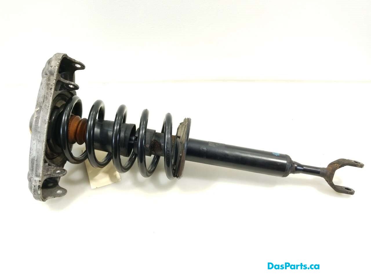 Strut Assembly RF