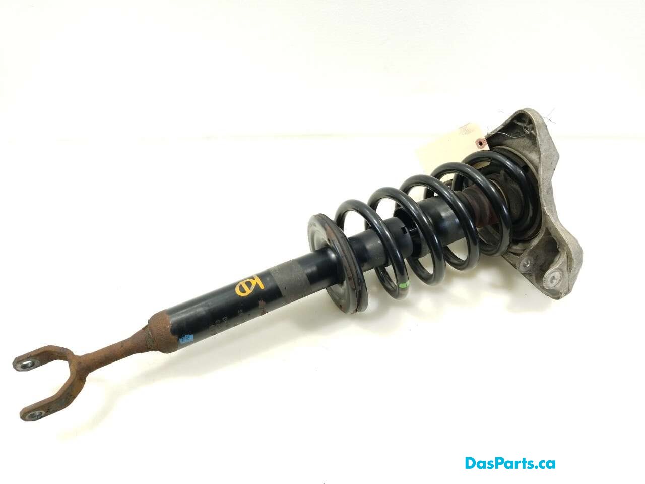 Strut Assembly LF
