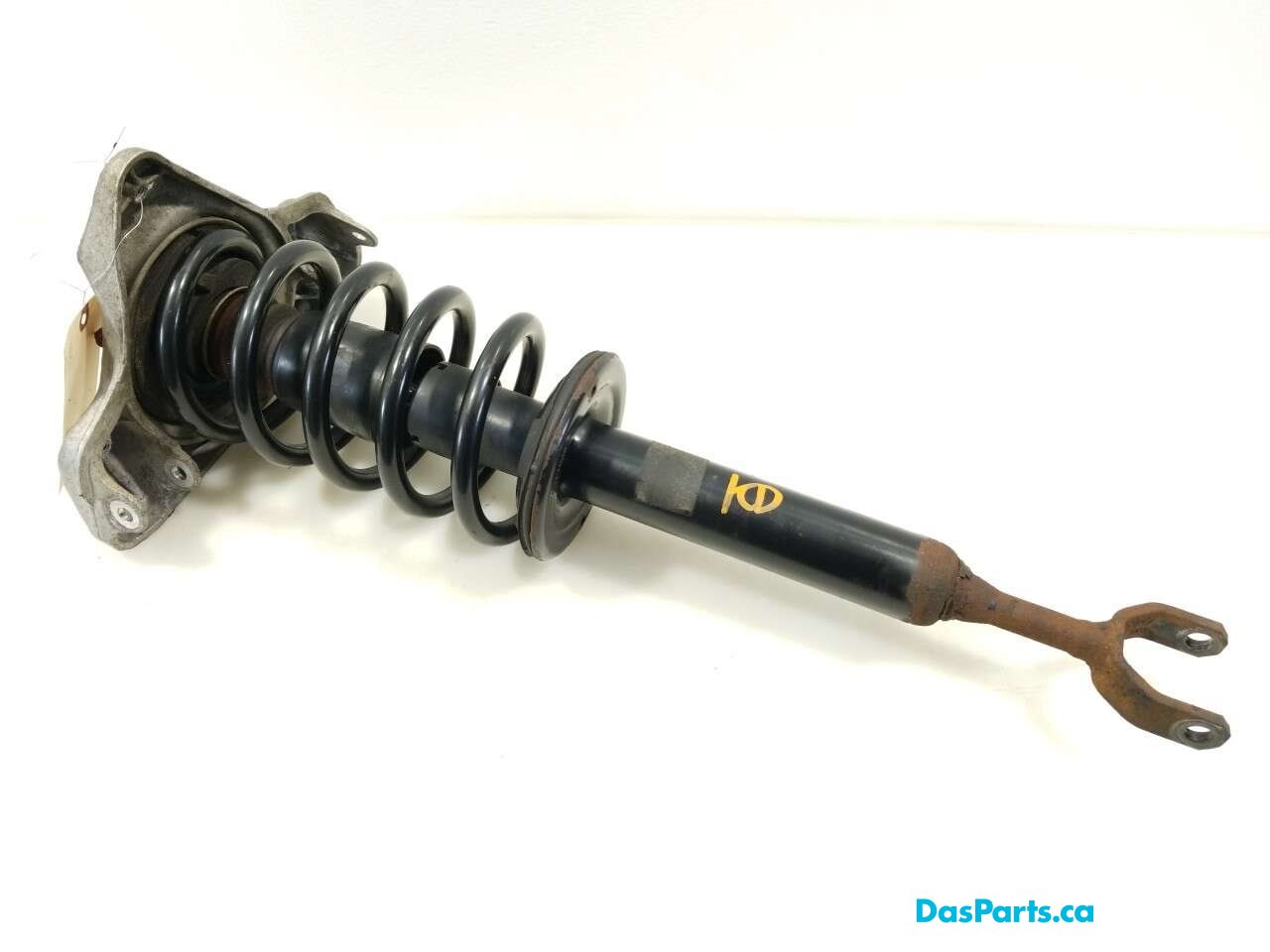 Strut Assembly LF