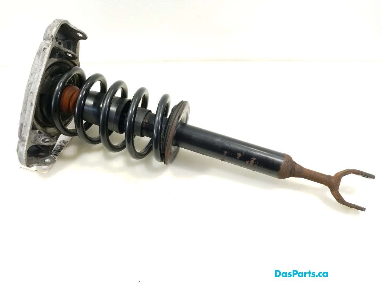 Strut Assembly LF