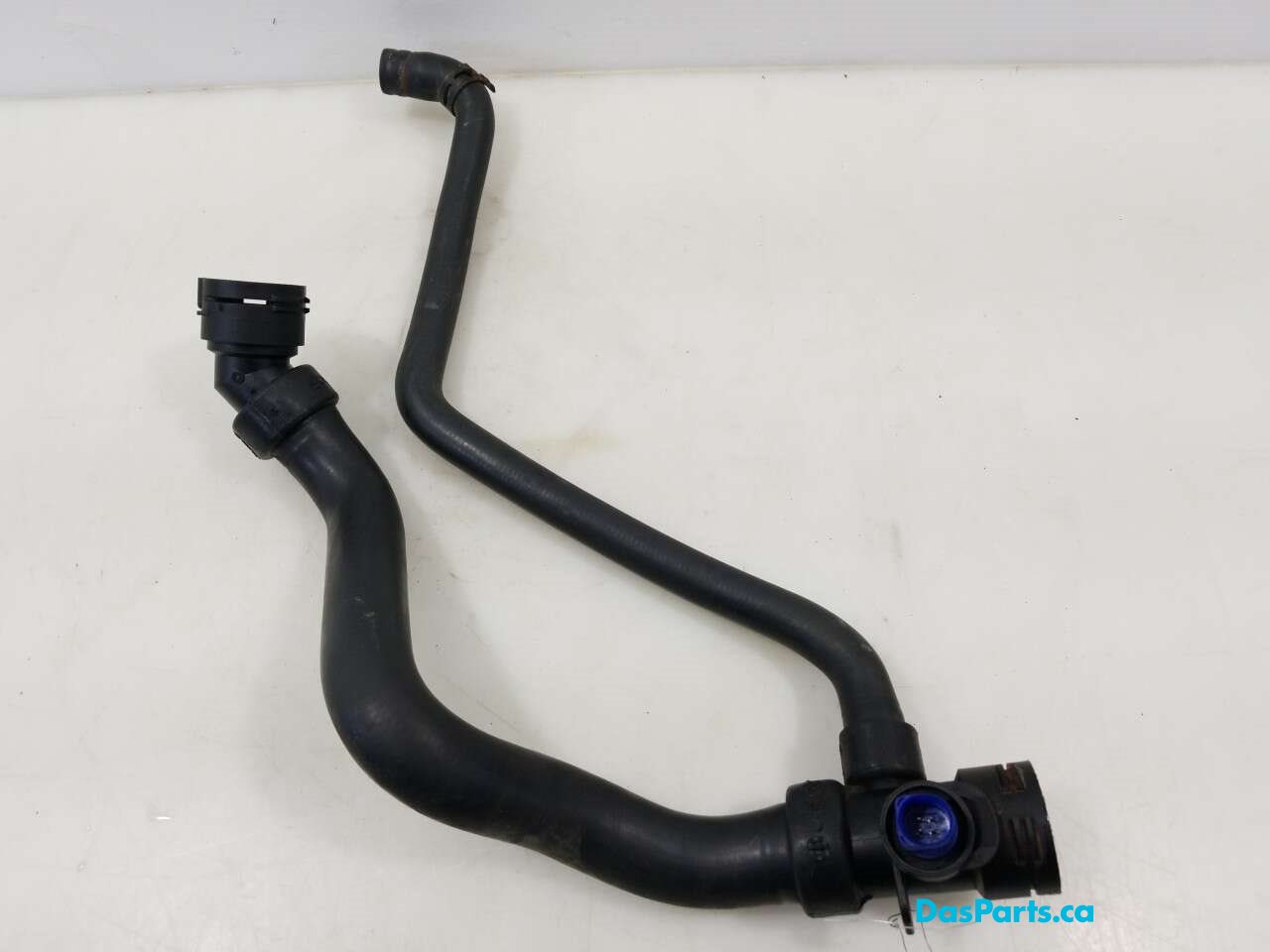 Lower Rad Hose