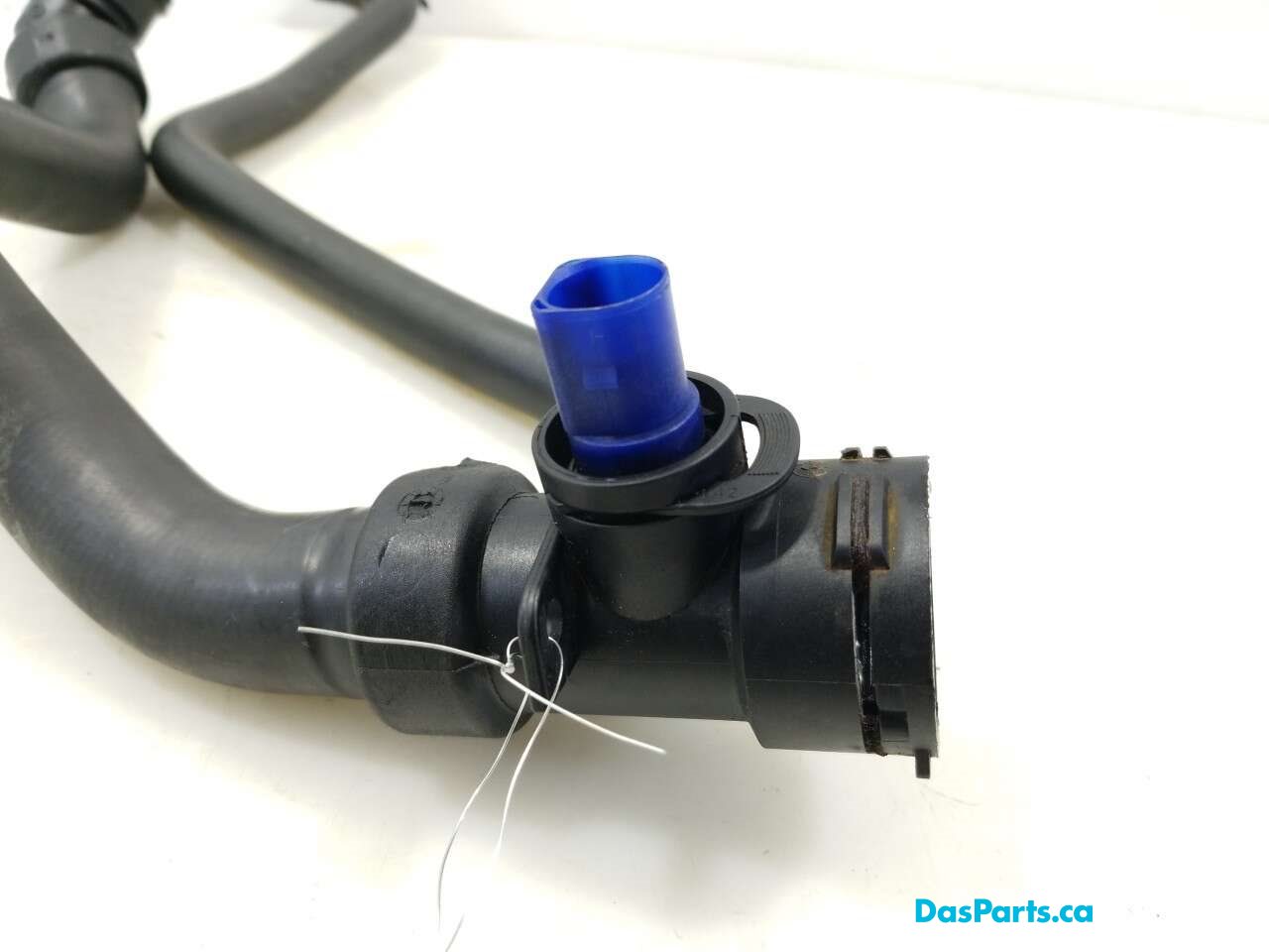 Lower Rad Hose