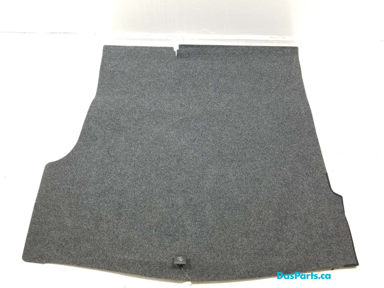 Trunk Carpet Floor