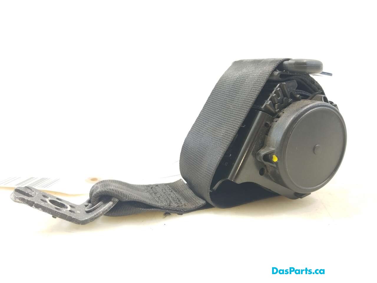 Seat Belt LR