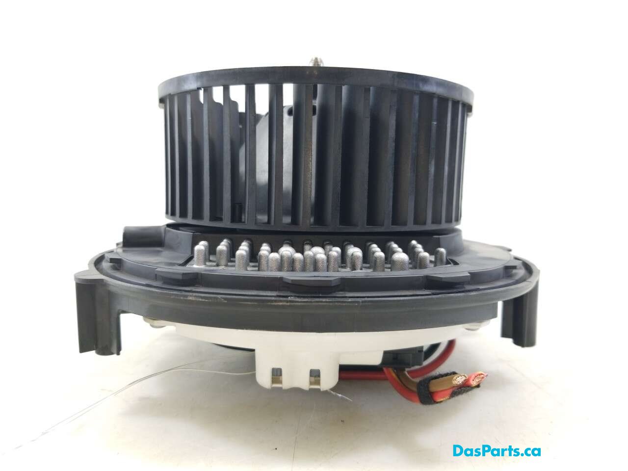 Blower Motor