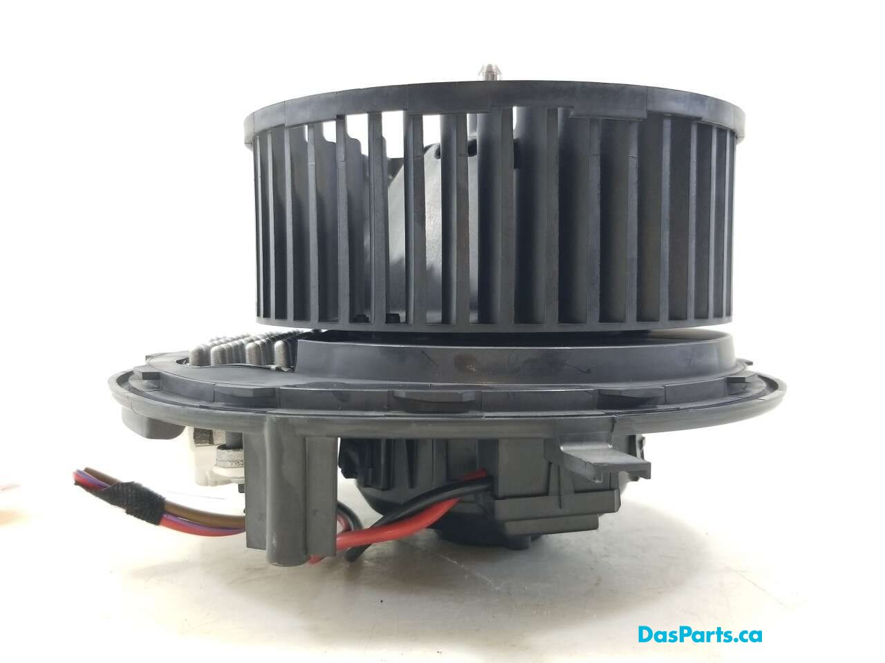 Blower Motor
