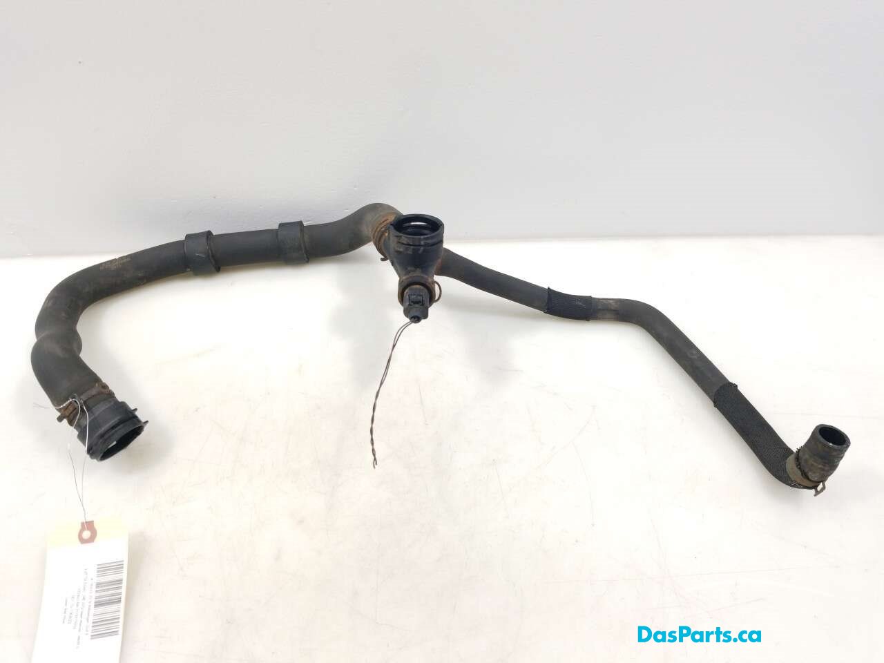 Lower Rad Hose
