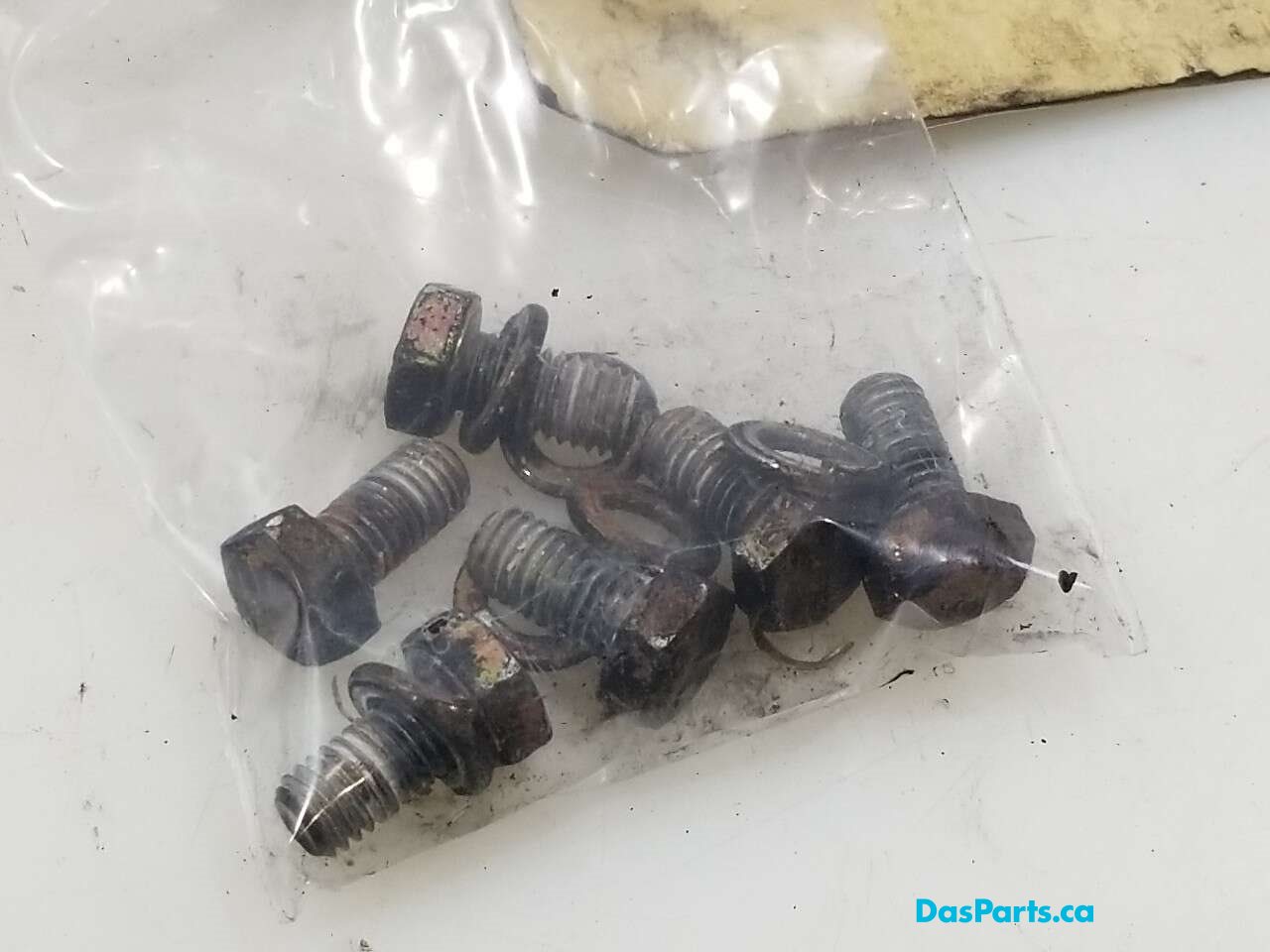 Clutch Assembly