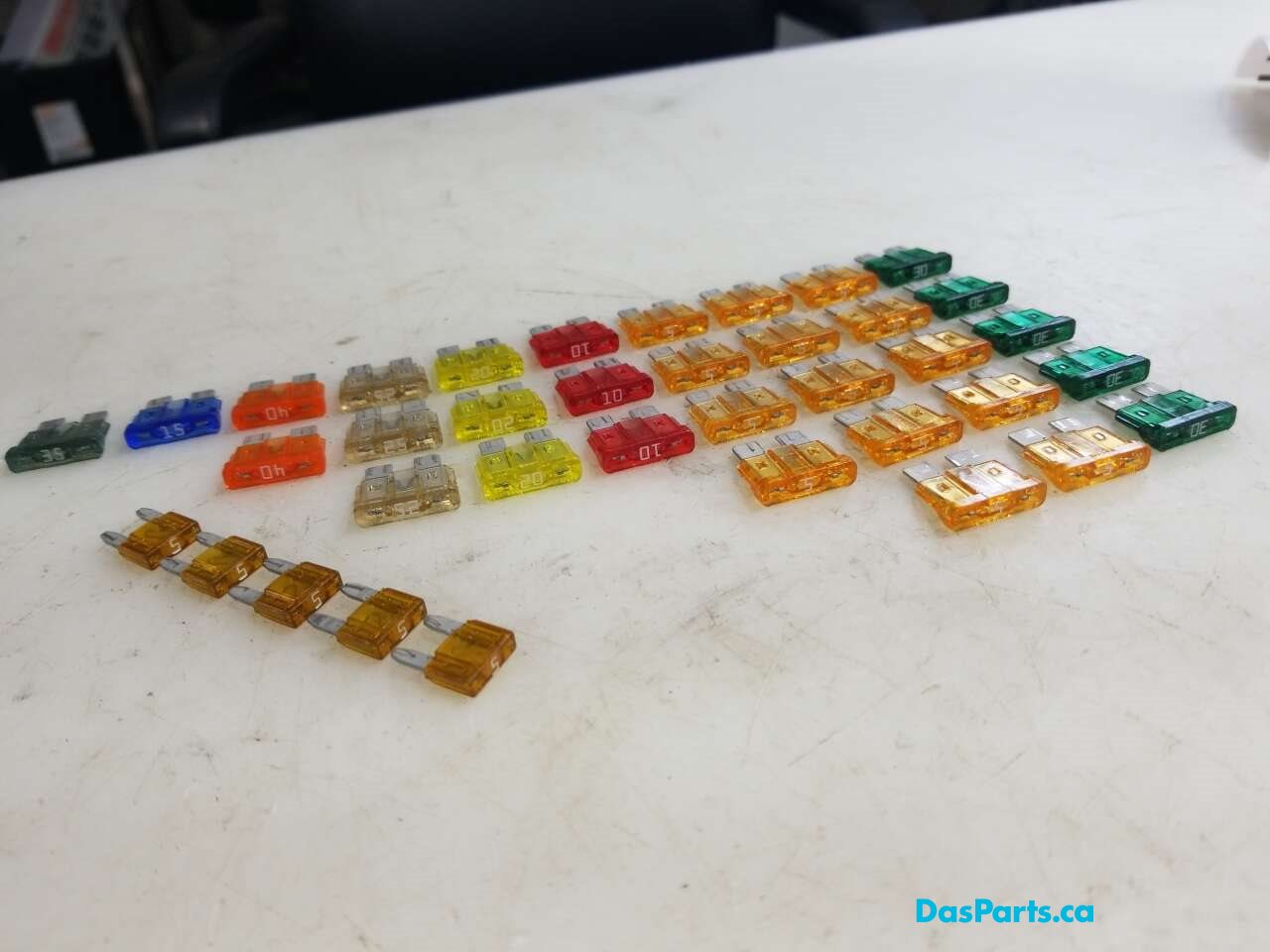 Variety Fuse Pack