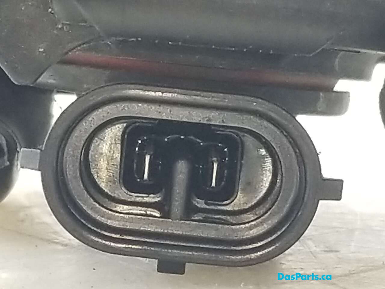 Fog Light L