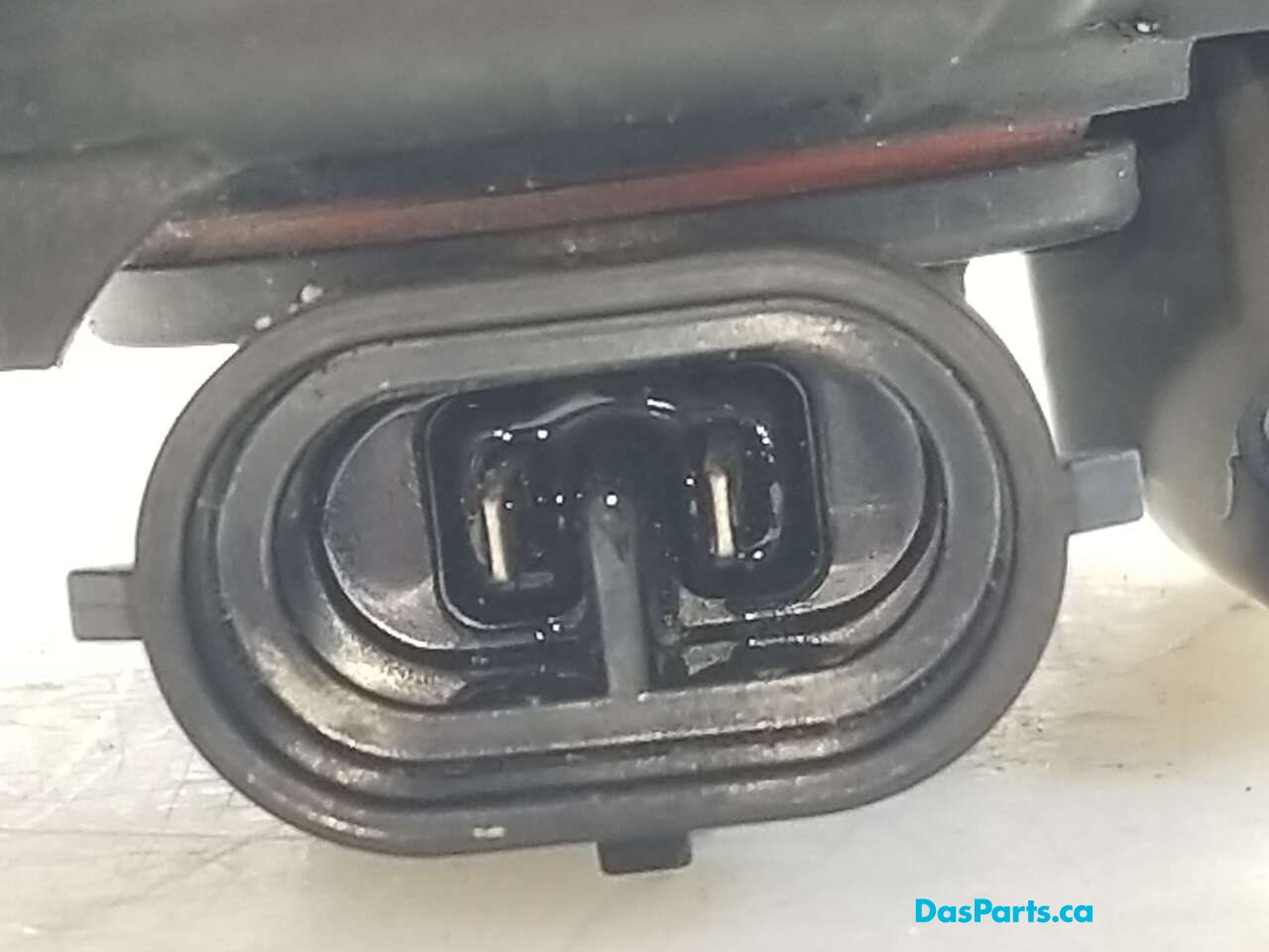 Fog Light R
