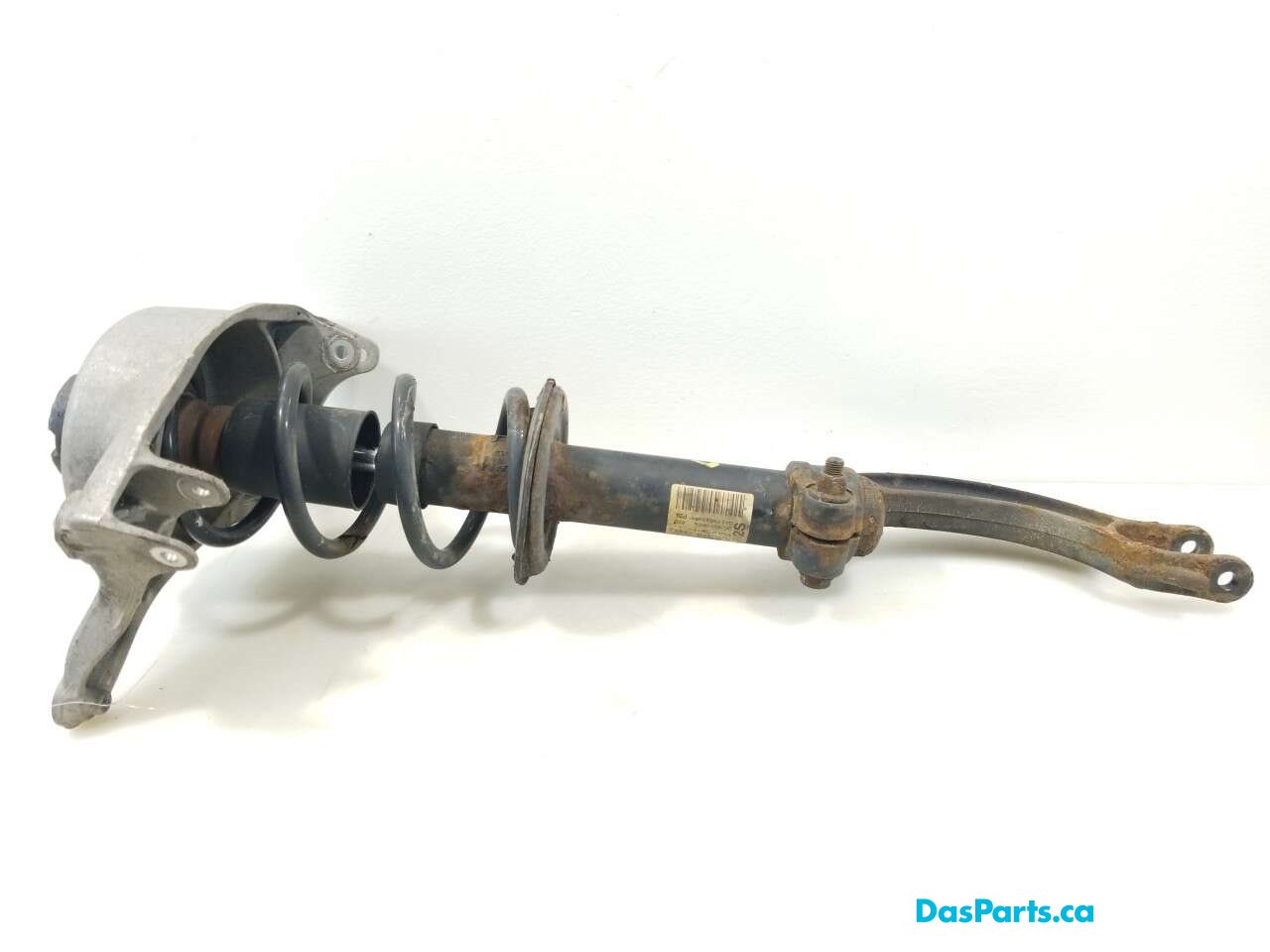 Strut Assembly LF