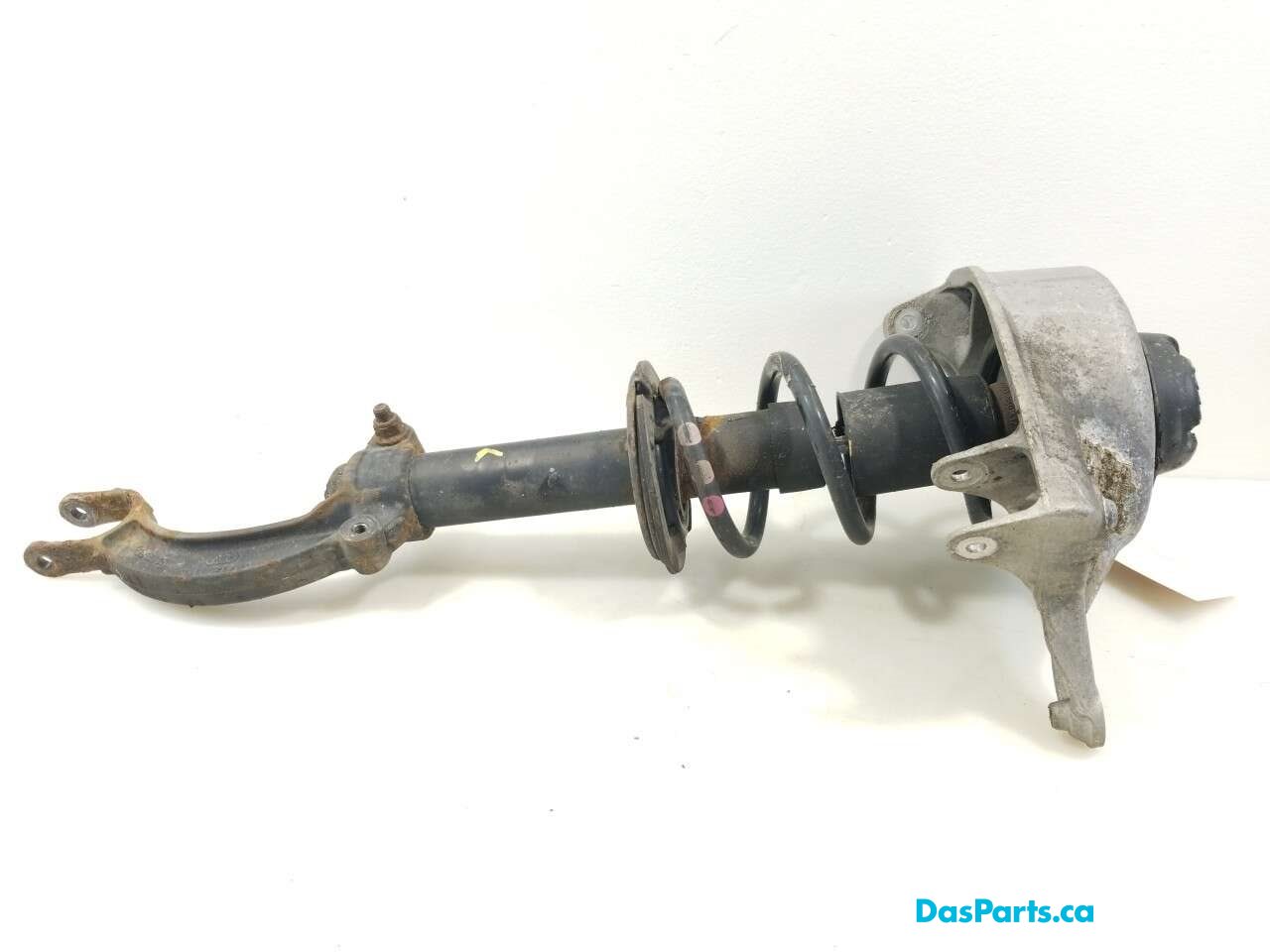Strut Assembly LF