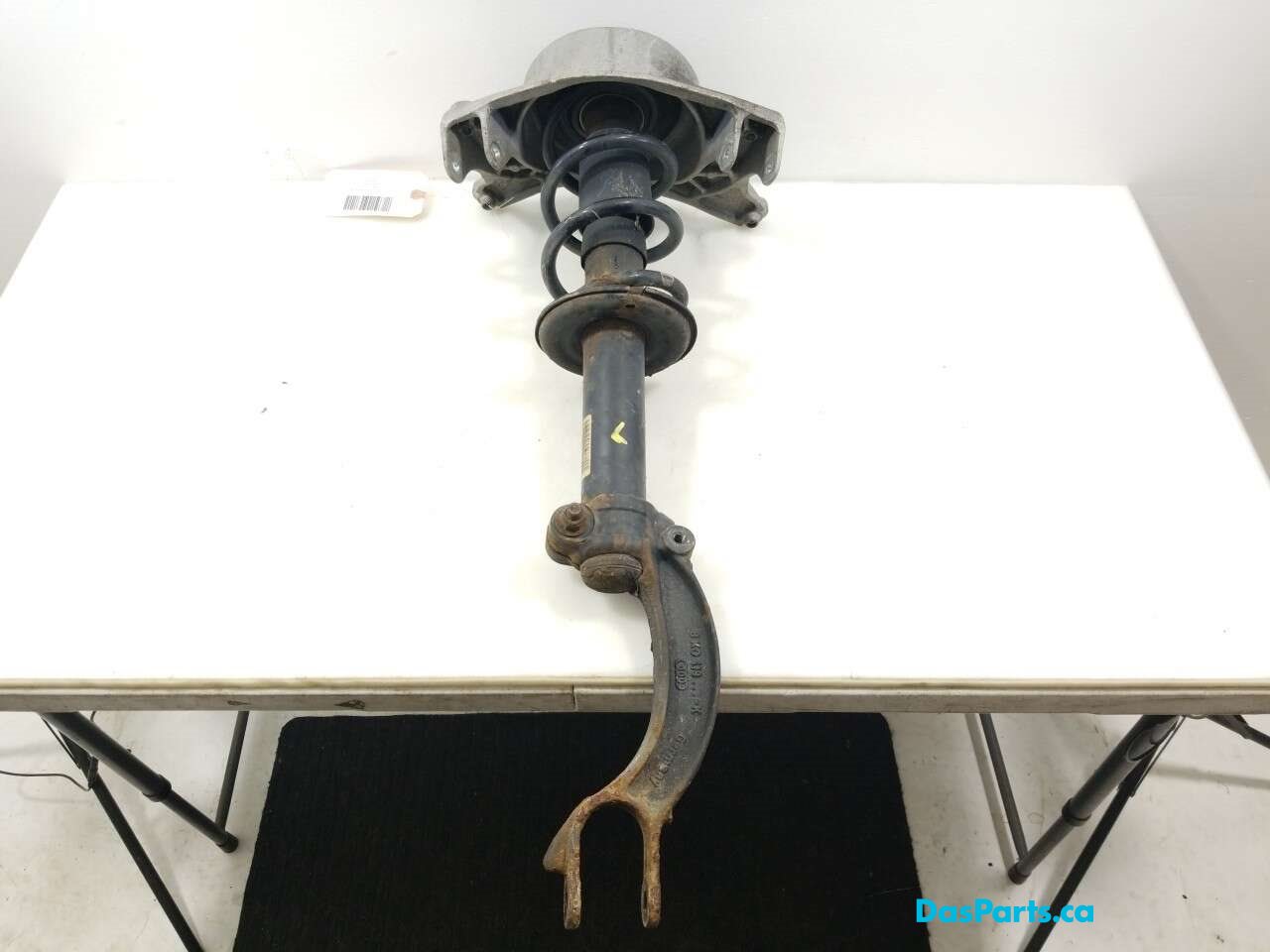 Strut Assembly LF