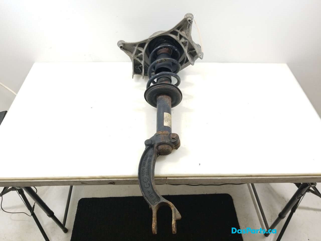 Strut Assembly LF