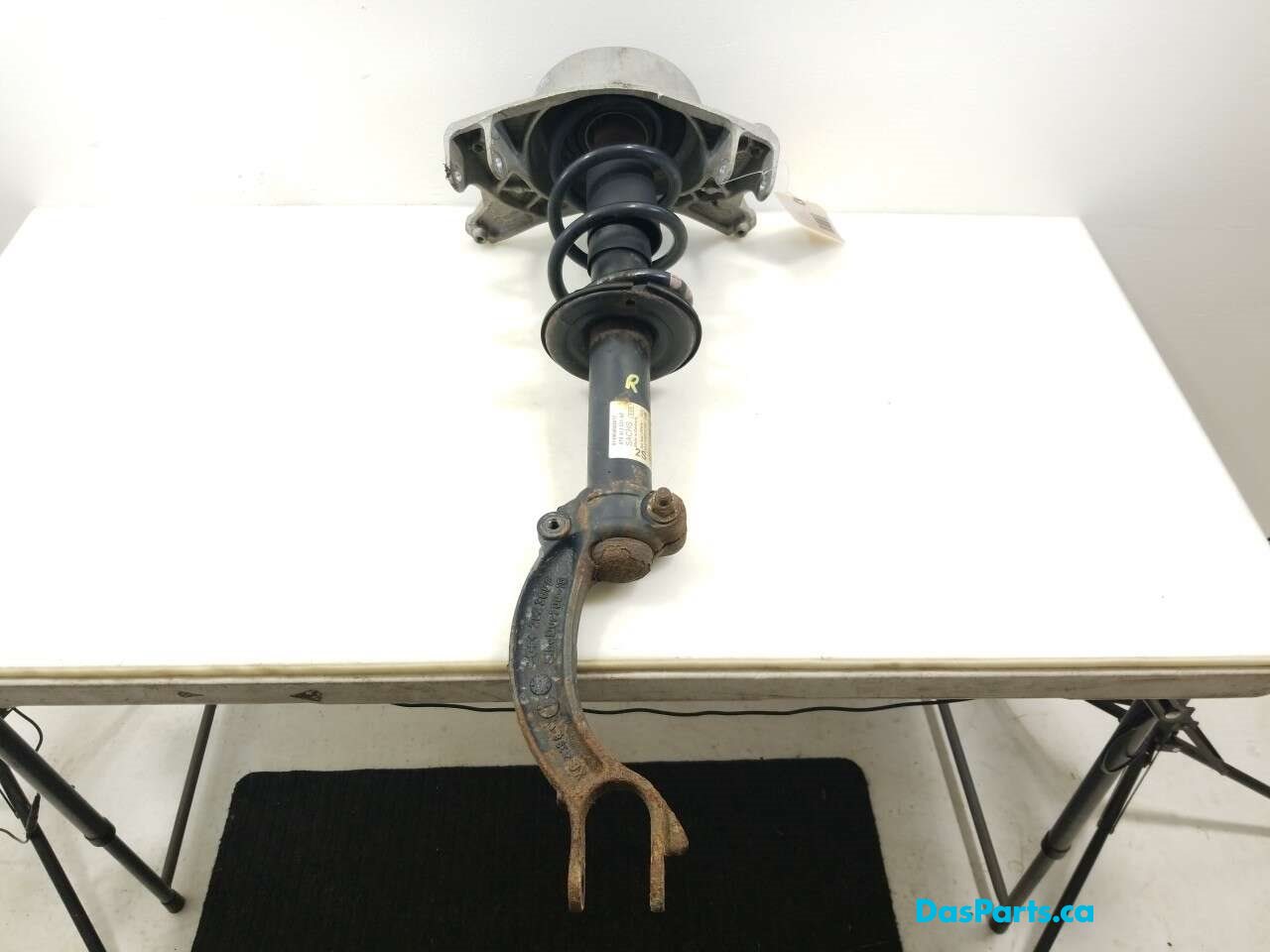 Strut Assembly RF