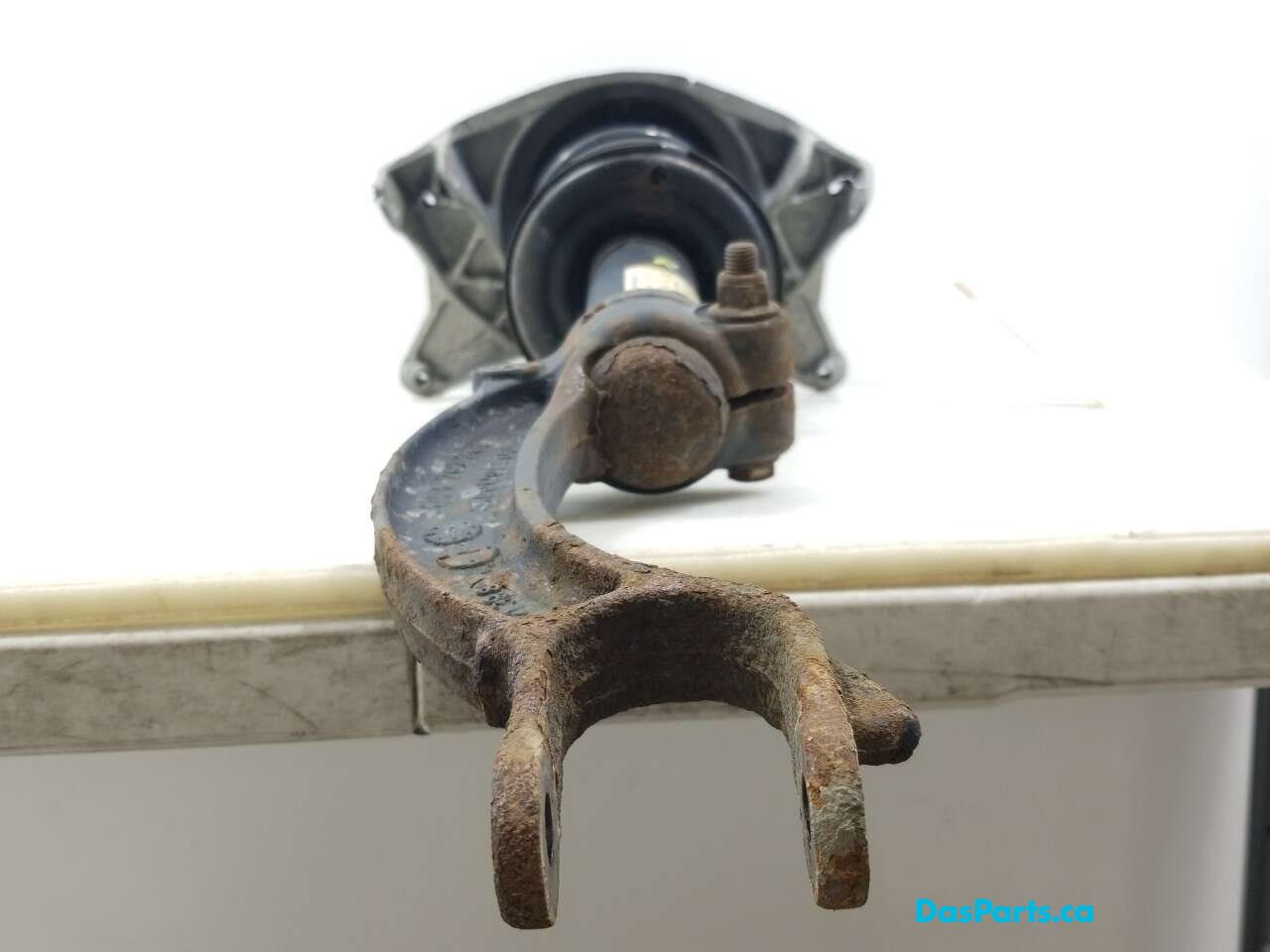 Strut Assembly RF