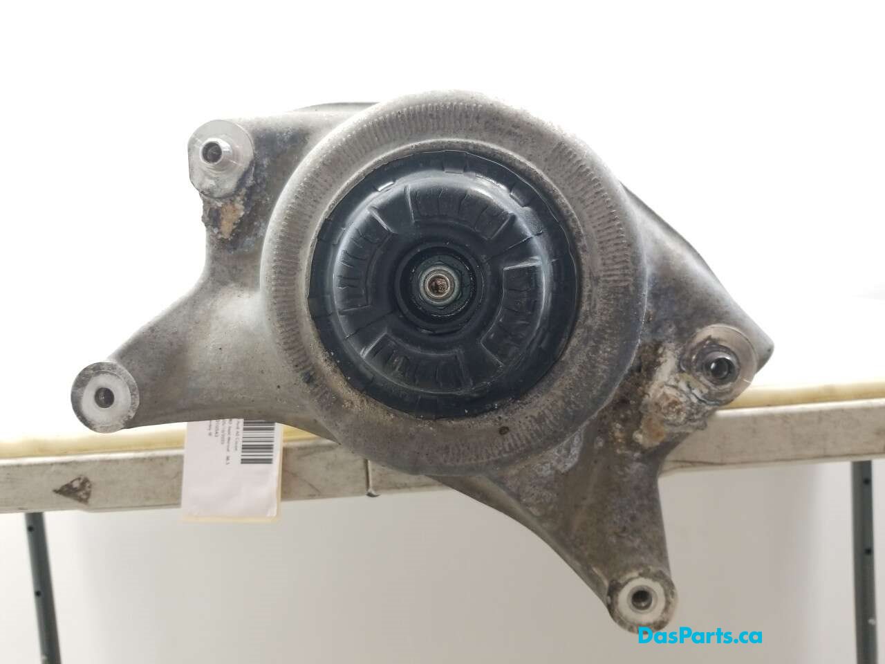 Strut Assembly RF