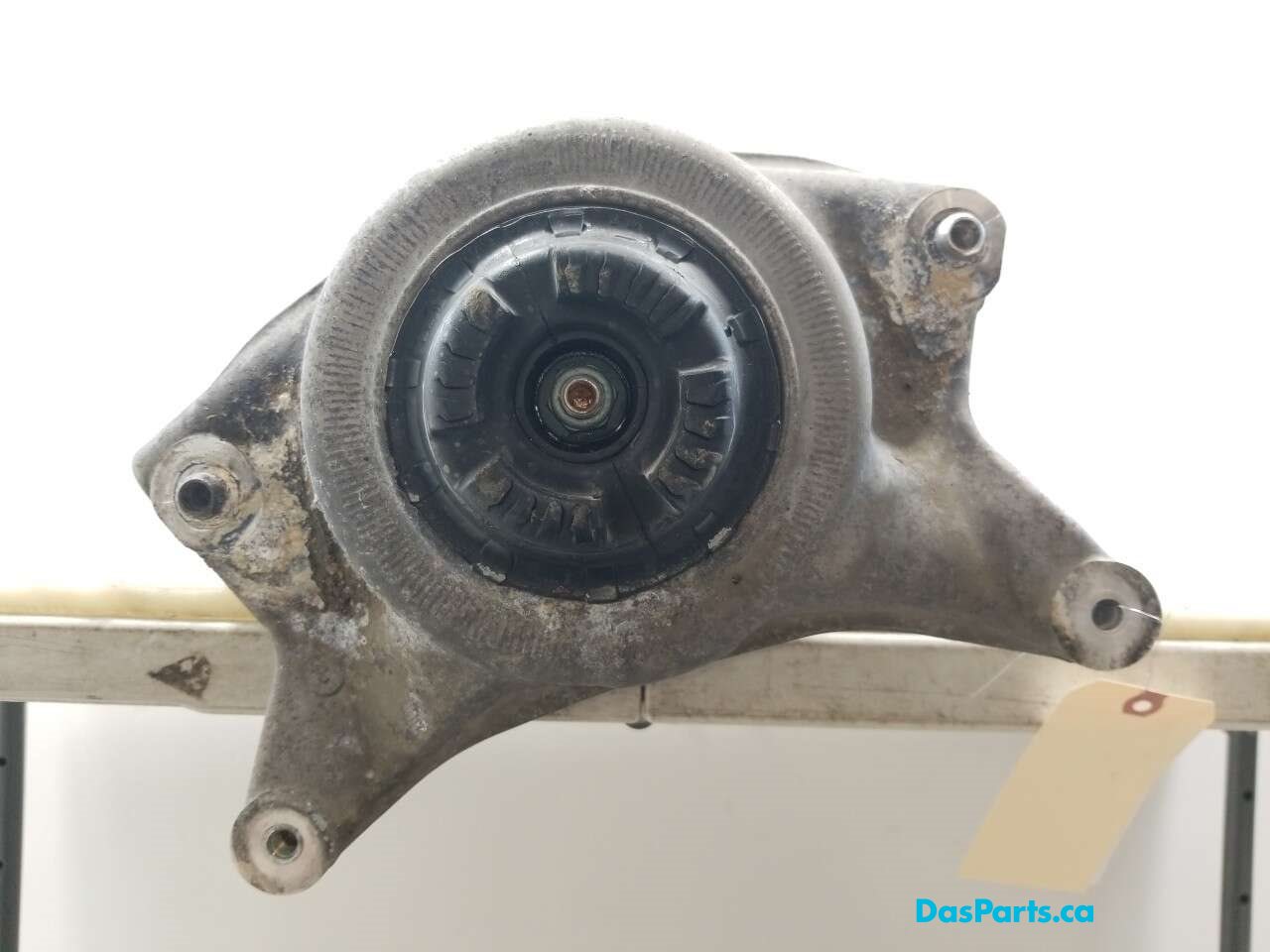 Strut Assembly LF
