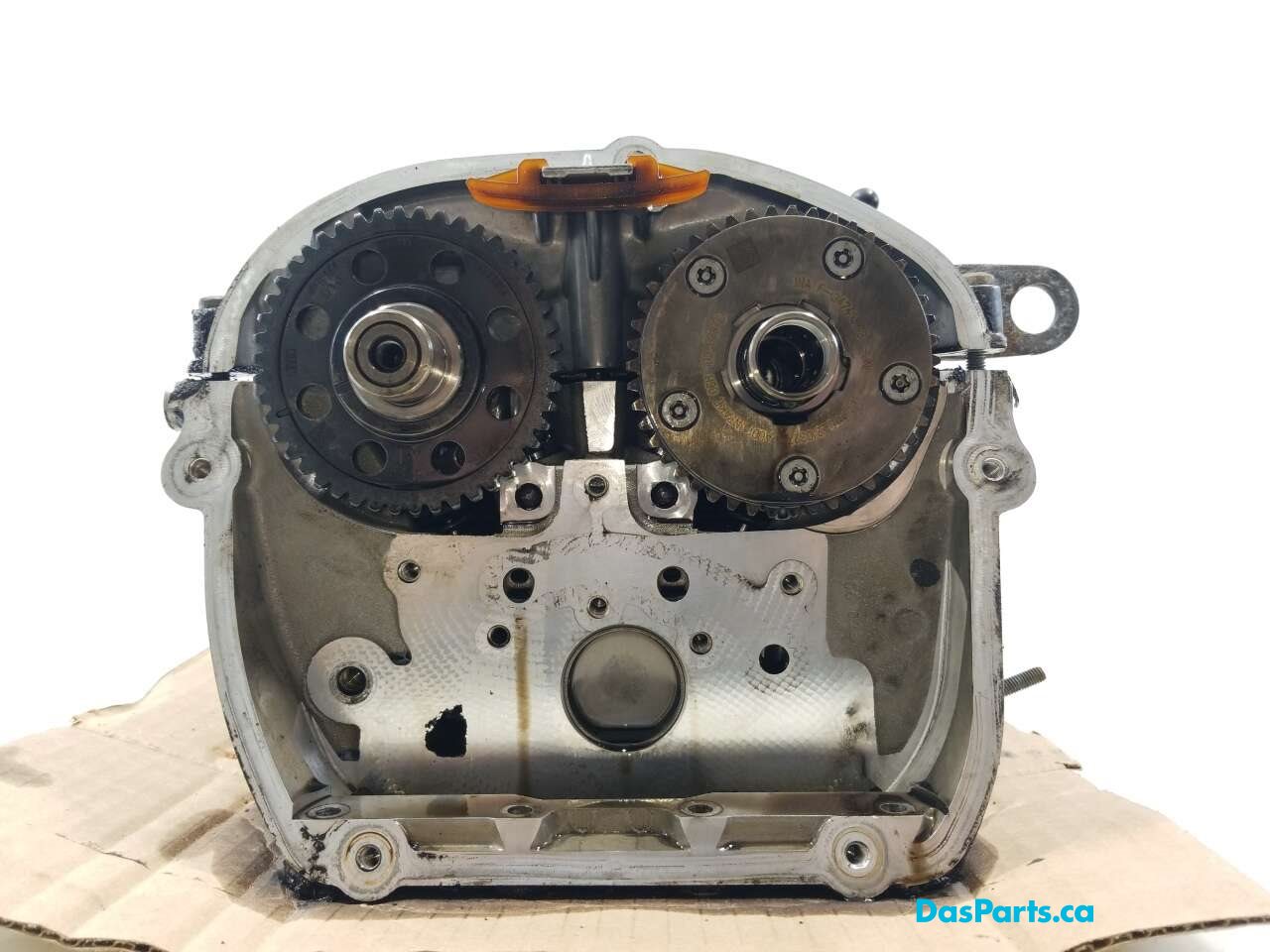 Engine Cylinder Head
