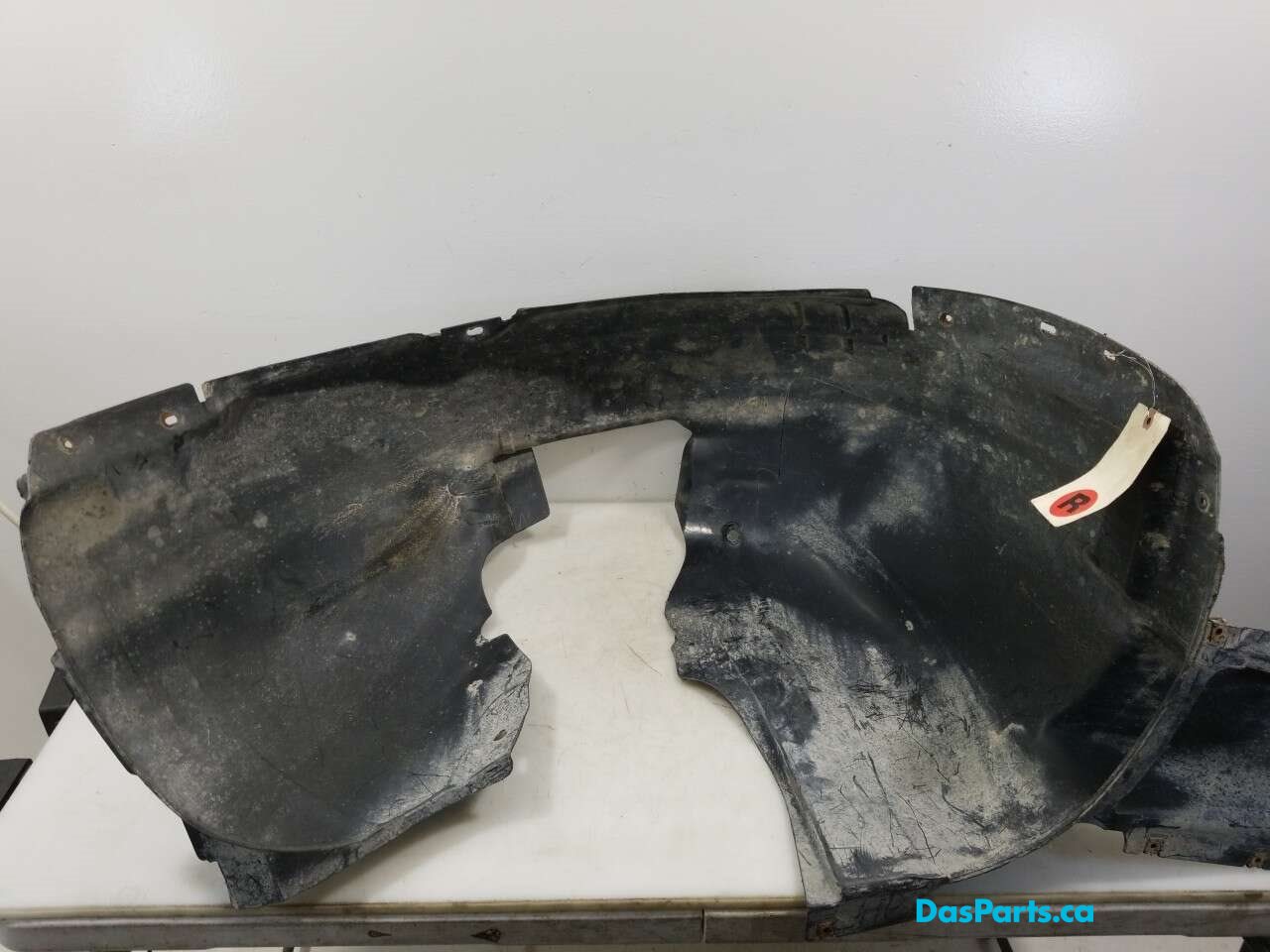 Fender Liner RF