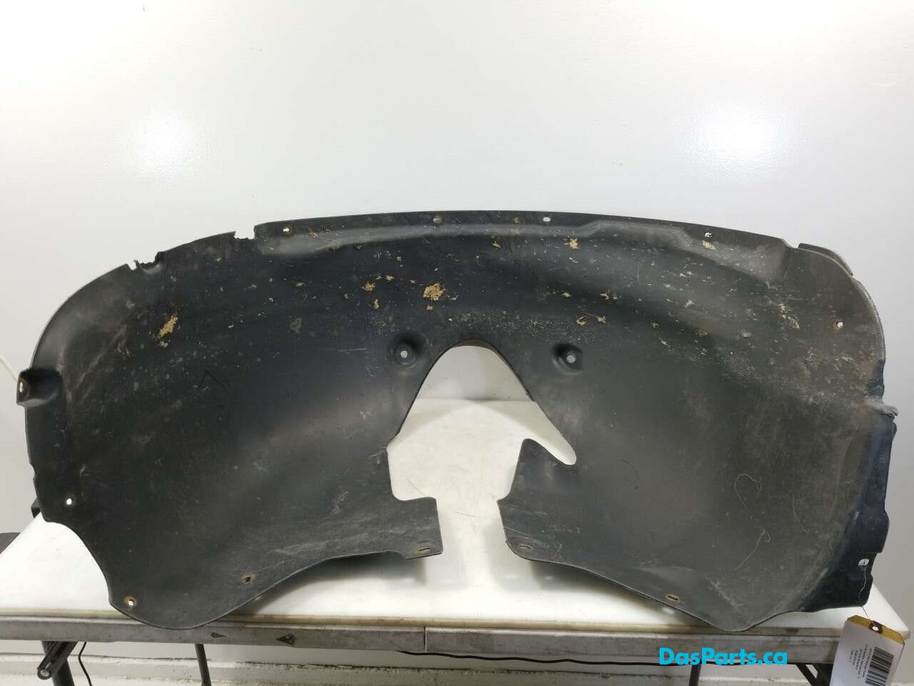 Fender Liner LF