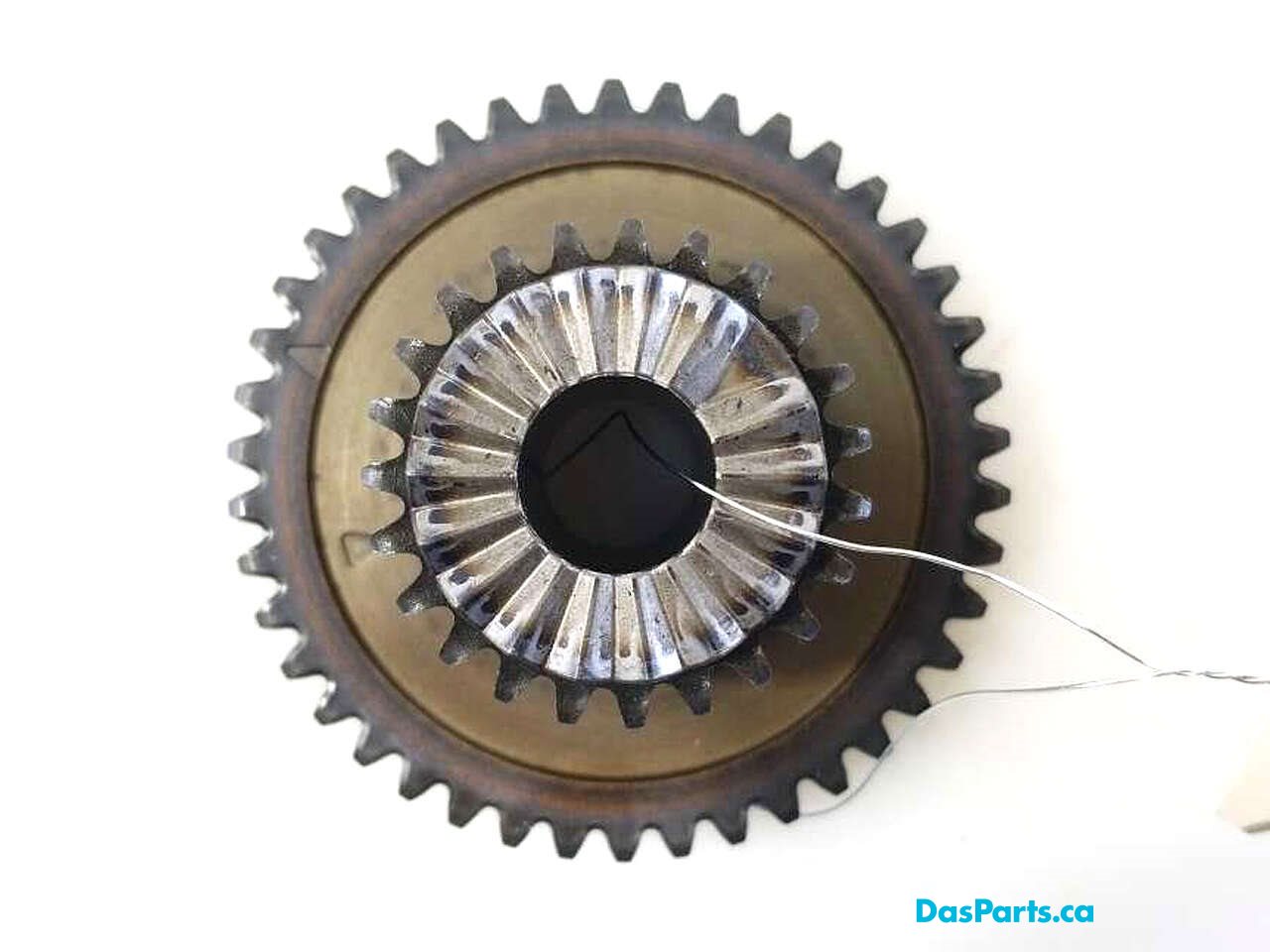 Timing Drive Gear
