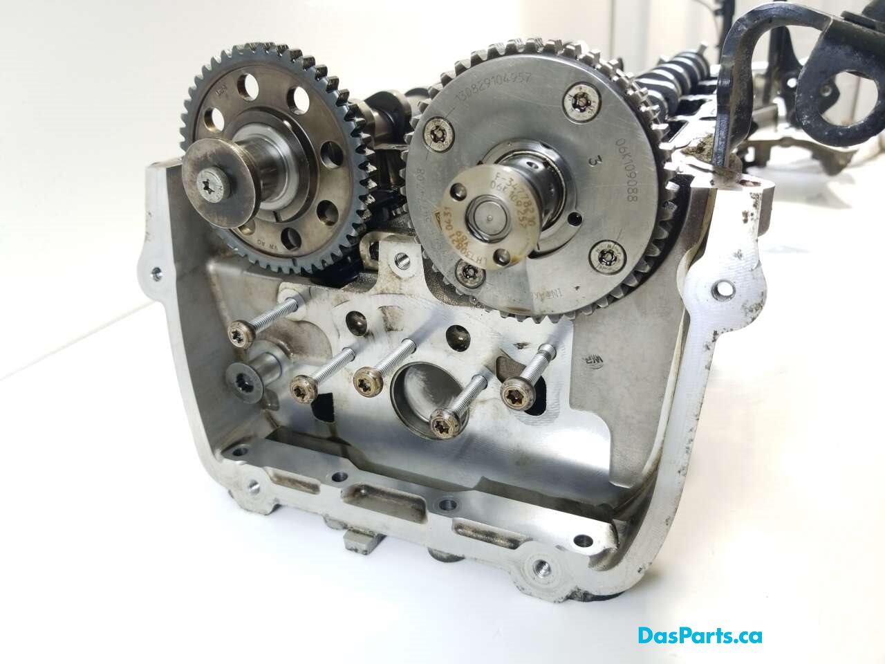 Engine Cylinder Head