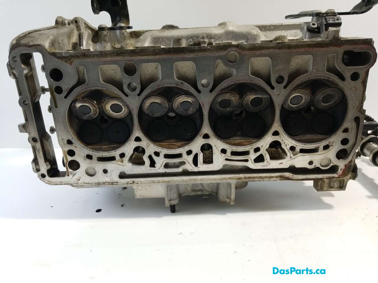 Engine Cylinder Head
