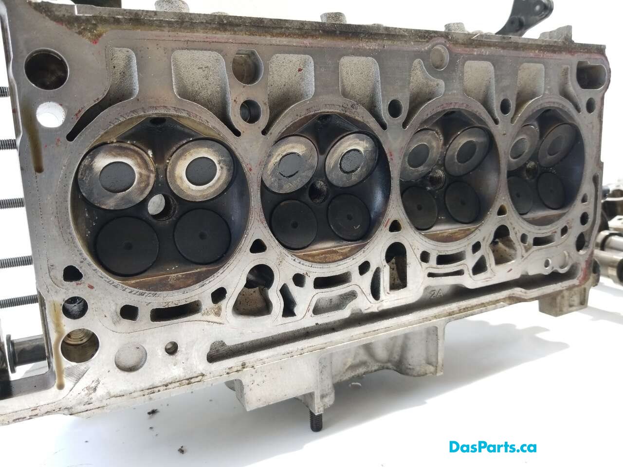 Engine Cylinder Head