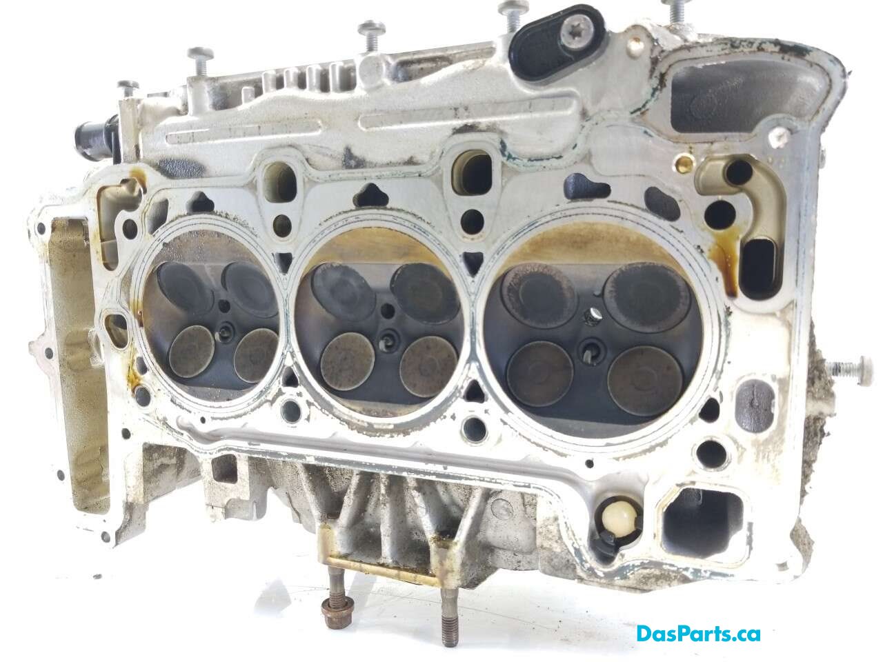 Engine Cylinder Head