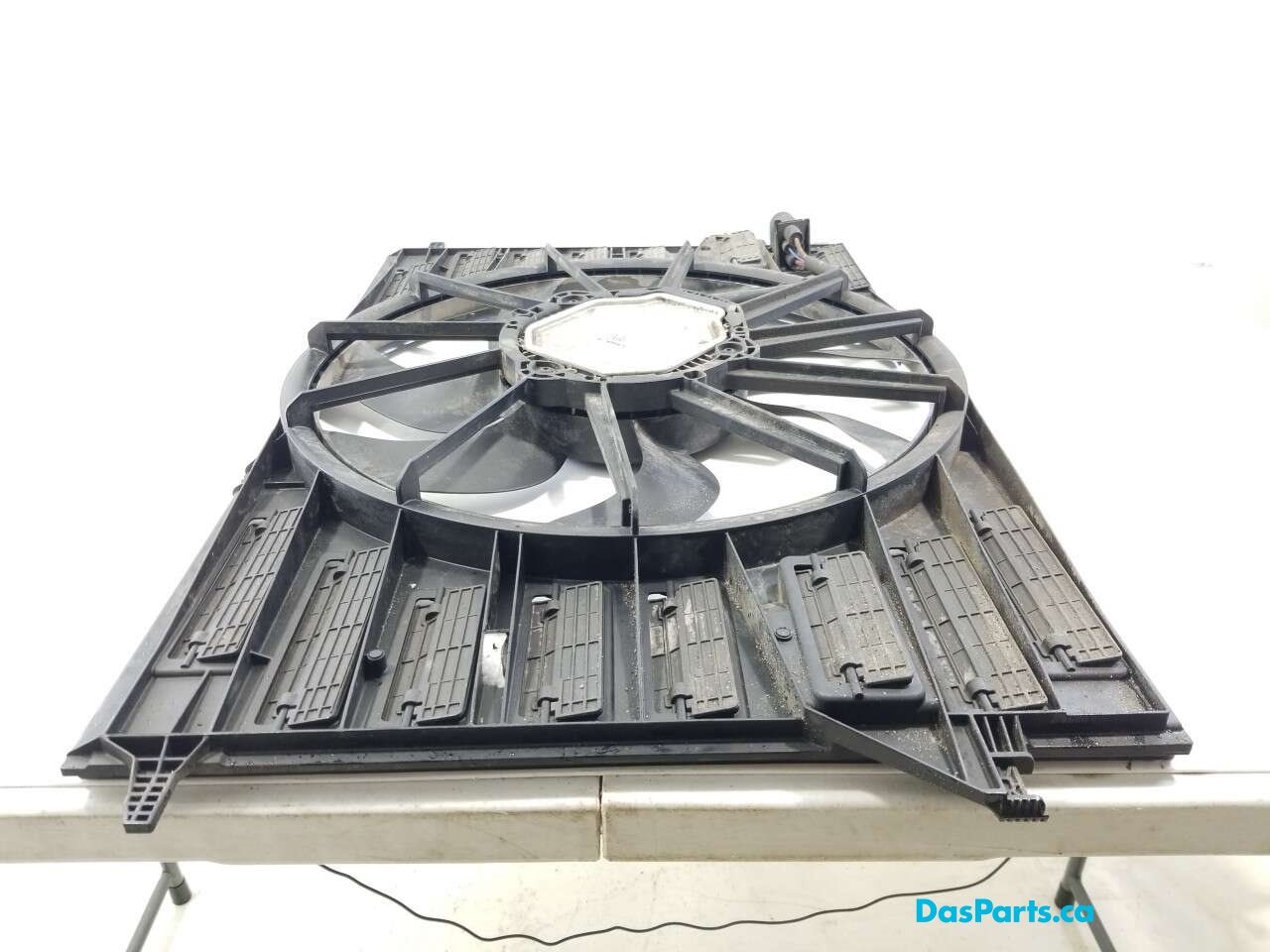 Rad Fan Assembly
