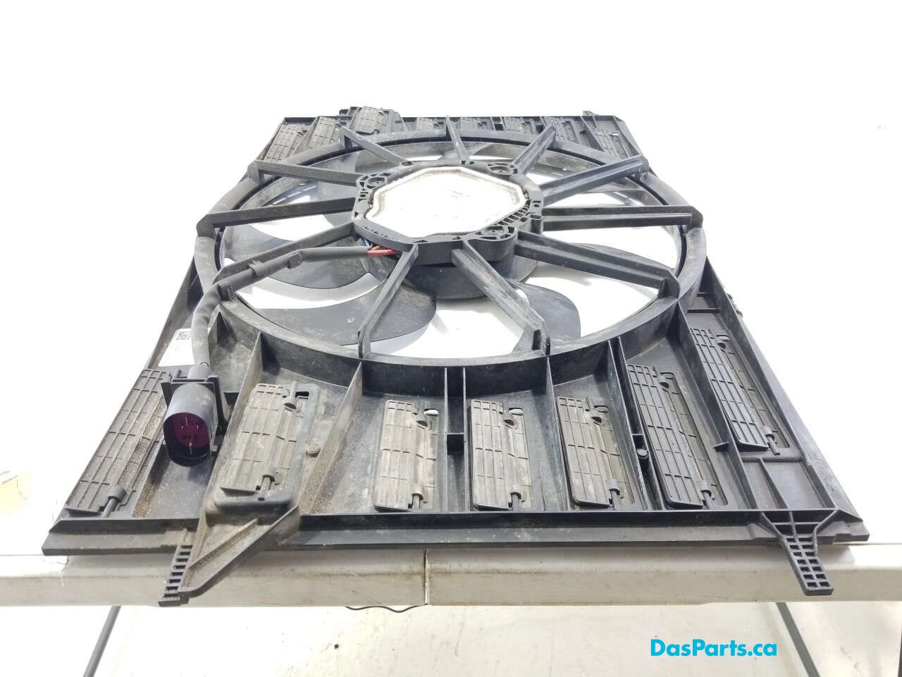 Rad Fan Assembly