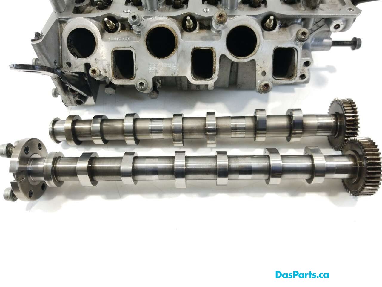 Engine Cylinder Head