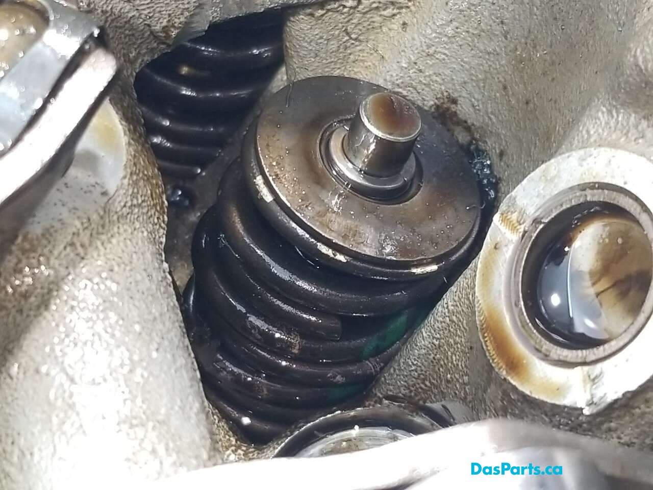 Engine Cylinder Head