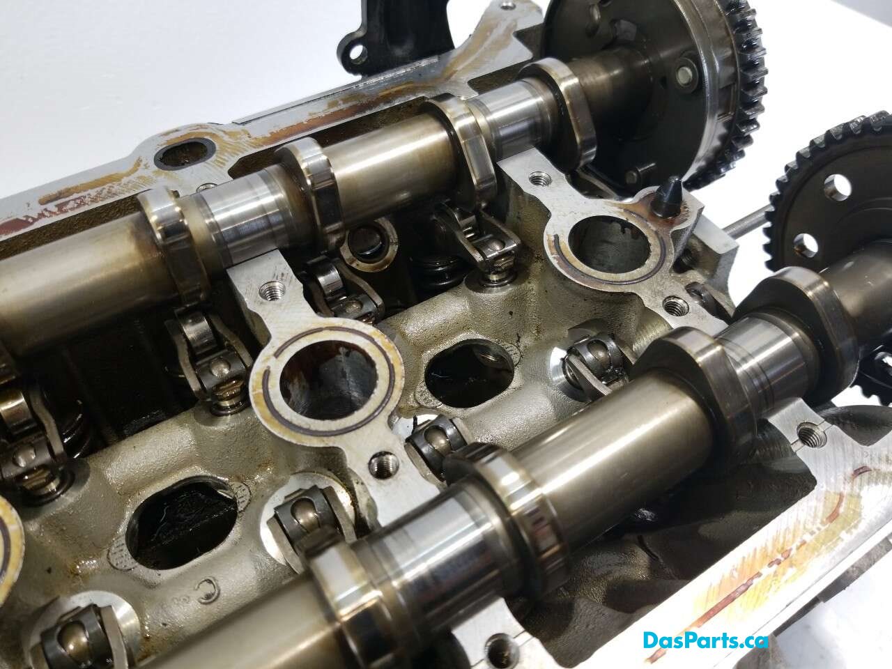 Engine Cylinder Head